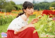 146 ： ときめき宣伝部/坂井仁香/ときめき生写真 第4弾