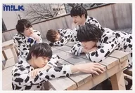 M!LK / Gathering (5 persons) / Horizontal type / Bust up / Costume white. Black / Cow pattern / Table / Outdoor / 「 Mow Mow DREAM ~ Want to be a super B! G cow ~ 」 Official photo Set -5 th Cup -