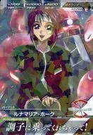 VS4-060 [R] : Lunamaria Hawke