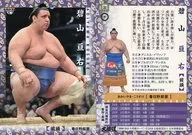 31 [Regular Card] : Wasuke Aoiyama