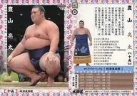 47[常规卡]:丰山亮太