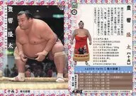 63[常规卡]:丰响隆太