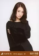 Reika Sakurai / Top with Voluminous Sleeves / Nogizaka46 2018. January-IV Venue Limited Random Official photo