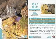 53[普通卡]:野口启代