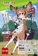 鹫木菟