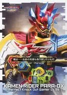 Kamen Rider Paradoxus