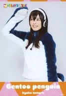 Kyouka Tamura (Gentoo Penguin) / Obi ・ Character Actor Shot / Butai 「 Kemono Friends 」 Replay Random Bromide