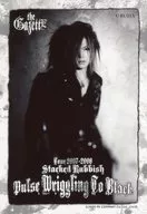 The Gazette / Rei / Knee Top / Clothing Black / Background Gray / the Gazette TOUR 2007-2008 STACKED RUBBISH Pulse Wrrigling To Black / Digital Photo