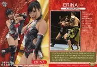 021常規卡]:ERINA