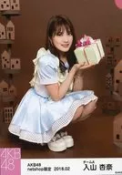 入山杏奈/下蹲·背景茶/AKB48 2018年2月度net shop限定個別生寫真服裝