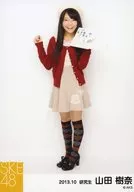 Juna Yamada / Whole body / Right hand writing / SKE48 October 2013 individual Official photo 「 2013.10 」 「 Arts autumn 」