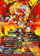 PR/0474 [PR] : Burn Bond Dragon