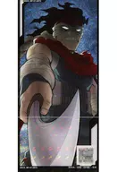 BHA-08-046[SR]：ステイン(裏アナザー)