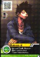 BHA-08-070 [S] : cremation