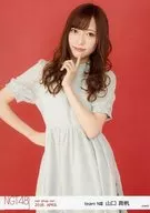 山口真帆/上半身・臉下左手・腰部右手/NGT48劇場交換式生寫真2018.APRIL net shop限定Ver.