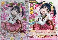 EX11-069[SEC]:矢泽妮可