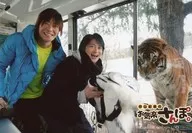 Kisho Taniyama / Hiro Shimono / Landscape / In-car / Tiger / DVD 「 Kisho Taniyama no Okairaku-san Po. In Yamaguchi 」 Animate early reservation privilege 2 shots Bromide