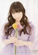 堀江由衣/写真集虎之穴特典明信片
