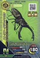M-1-15 [N] : Striata glauca (kira)