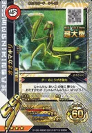 S-1-02 [SSR] : Tenodera aridifolia (Kira)