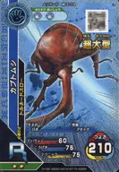 M-2-16 [R] : Beetle (Kira)