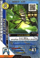 S-4-17 [R] : Argiope bruennichi (Kira)