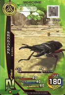 M-G1-13 [N] : Red-footed stag beetle