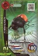 M-G2-11[N]：フンボルトヒナカブト(キラ)