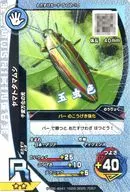 S-G2-10 [R] : Yamato Chrysochroa fulgidissima (Kira)