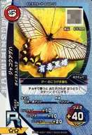 S-G2-11 [R] : Japanese Angelfish (kira)