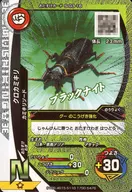 S-G3-16[N]：クロカミキリ(キラ)