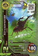 M-G5-11[N]：ラエトゥスミヤマクワガタ(キラ)