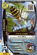 S-G5-11[R]：ナガコガネグモ(キラ)
