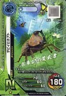 M-G6-14 [N] : Rusty Beetle (Kira)