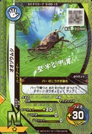 S-G6-16[N]：オオゾウムシ(キラ)