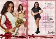 A 19[常规卡]:AKINA