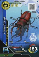 PR-001 [R] : Scylla serrata