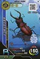 PR-017 [R] : escaravelho