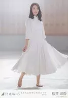 櫻井玲香/全身/「SYNCHRONICITY選拔ver.」WebShop限定個別生寫真