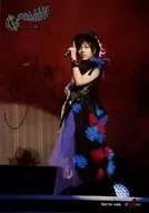 苍井翔太/现场照片·全身·印刷带签名/"S冬祭2015>明信片5 SET购入特典(Live ver)