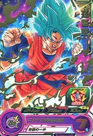 PSES6-01[P]：孫悟空