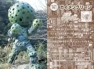 141 : Esponjas verdes