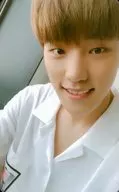 SEVENTEEN/DINO/豐胸衣裝白色，露齒/5 TH MINI ALBUM『YOU MAKE MY DAY』(MEET Ver.)特典Treka