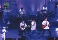 うらたぬき/ライブフォト・横型・全身・衣装白・右手マイク・バンド・「2017.8.17 渋谷TSUTAYA O-EAST cool style」/「Uratanuki Birthday Live cute style ＆ cool style」メモカぴあ