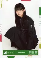 原田葵/座り/2018-AUTUMN-04/欅坂46ランダム生写真【6thオフィシャル制服】