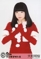彩虹CONQUISTA人偶娃娃/大和明桜/上身·服装红色·圣诞老人服装·双手合十胸前·正面/官方生写真