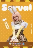 Yuka Ozaki (Serval) / Obi ・ Character Actor Shot / Butai 「 Kemono Friends 」 2 ~ Yukifuru Yoru No Mono ~ Random Bromide