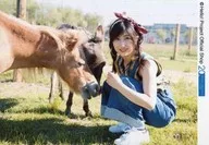 Morning Musume' 18 / Masaki Sato / Horizontal Type, Whole Body, Sitting, Left Side with Horse and Face Front / Masaki Sato Official photo 『 "Masaki Sato (Morning Musume' 18) First Visual Photo Book" Triangle Glass "- Part 5 』