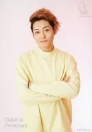 Kawahara Kazuma / Top & Clothing Yellow / Bracing / C. I. A. presenta "Spring Fan Festival" Complete Set Bromide with Porches