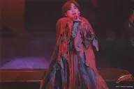 Kinki Kids / Koichi Domoto / Live Photo ・ Above Knee ・ Costume Brown ・ Right Hand Front ・ Background Black ・ 2L Size / "Endless SHOCK 2017" Stage Photo 2nd Edition